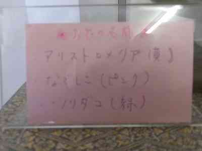 108_7509